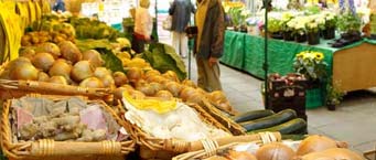 Shrewsbury Market photo